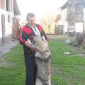 48, Kikinda, Serbia